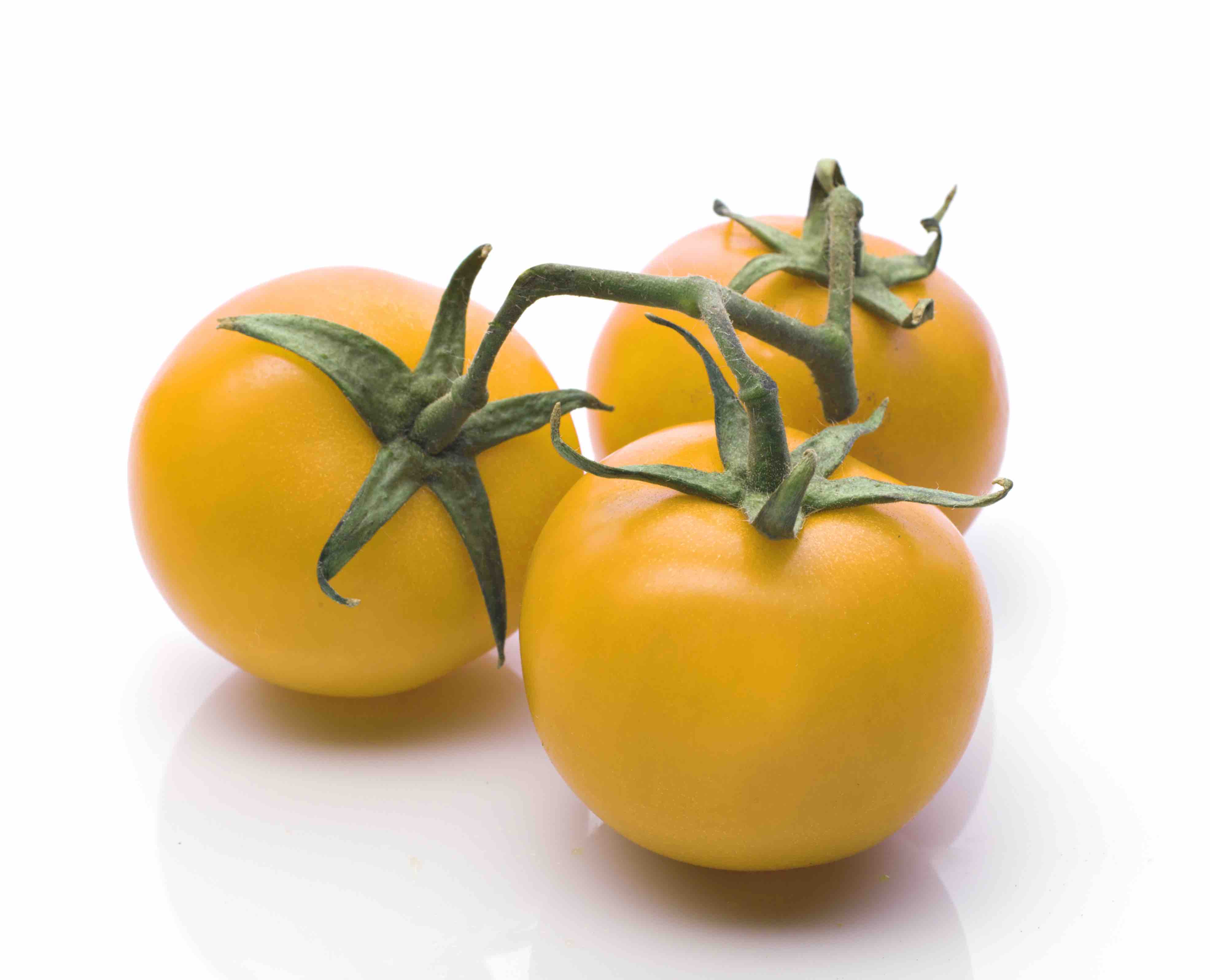 Tomaten, gelb